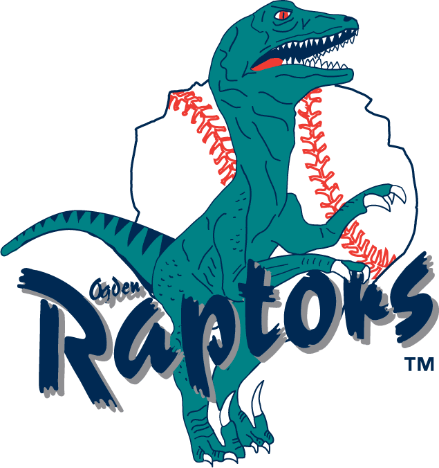 Ogden Raptors 2001-2014 Primary Logo iron on transfers for clothing